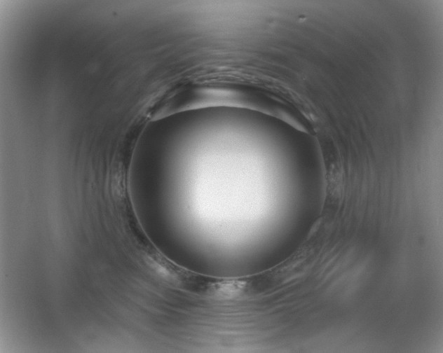 X0000066010474200603031228