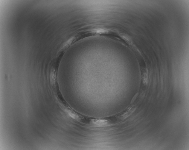 X0000066010476200603031228