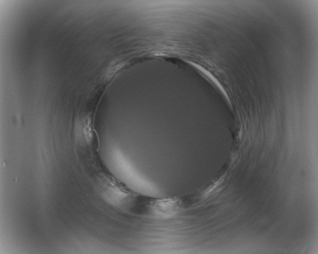 X0000066010479200603031228