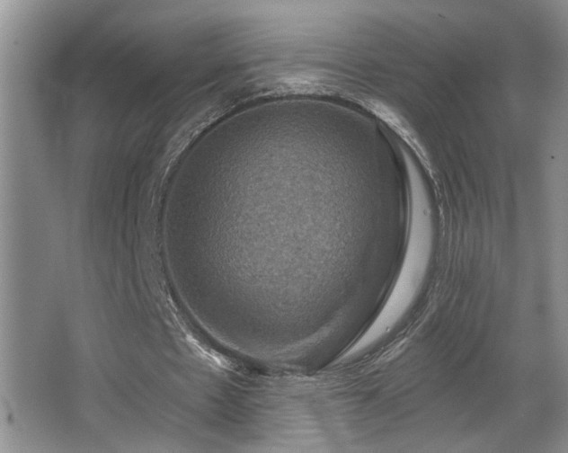X0000066010481200603031227