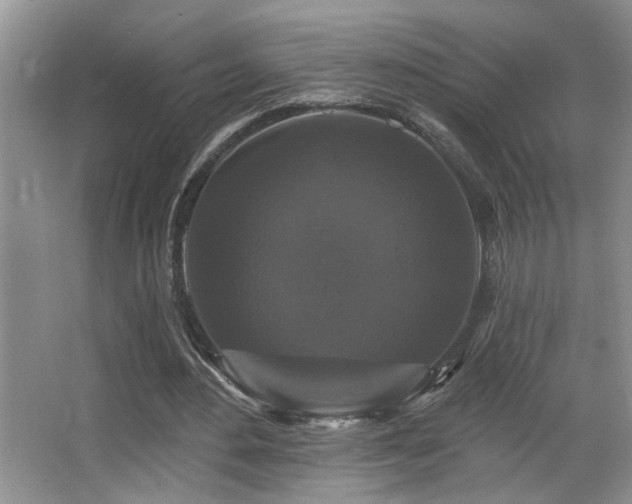 X0000066010484200603031227