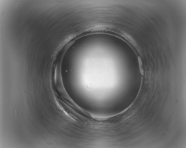 X0000066010485200603031227