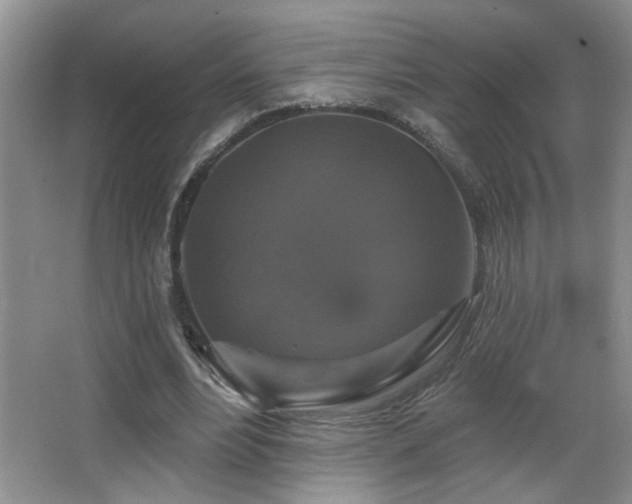 X0000066010488200603031227