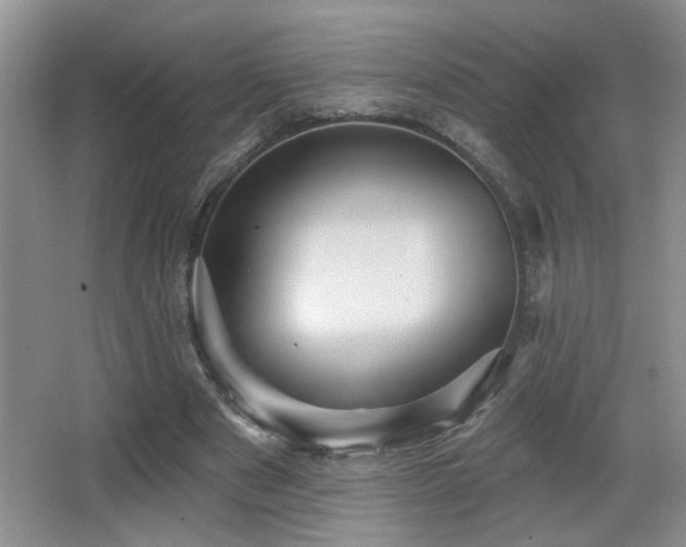 X0000066010489200603031227