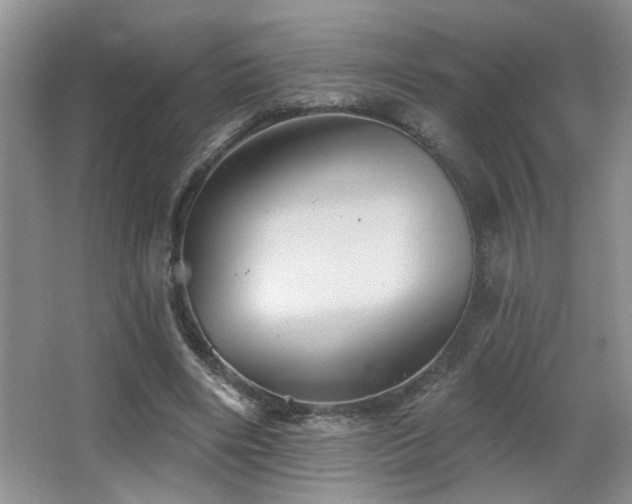 X0000066010490200603031227