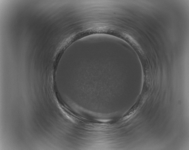 X0000066010493200603031227