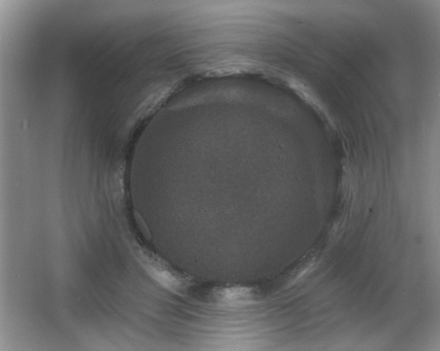 X0000066010501200603031227