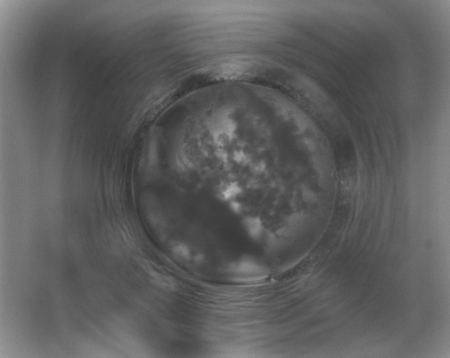 X0000066010503200603031227