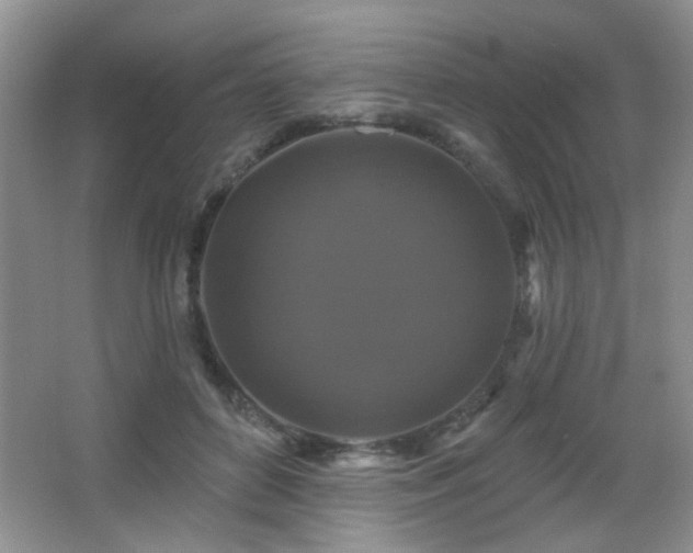 X0000066010504200603031227