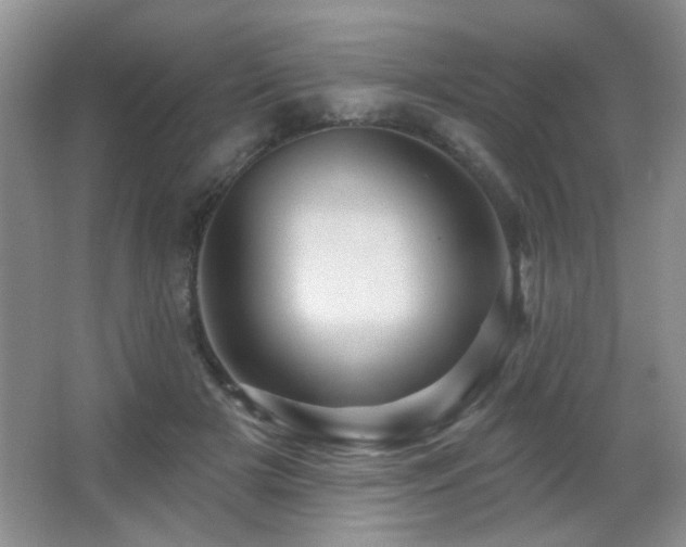 X0000066010505200603031226