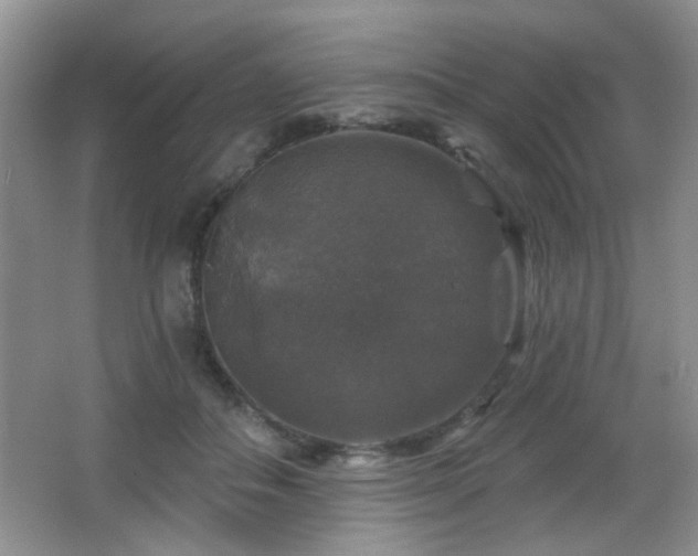 X0000066010506200603031226