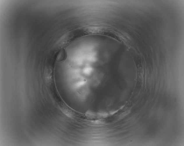 X0000066010507200603031226