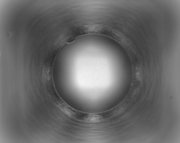 X0000066010514200603031226