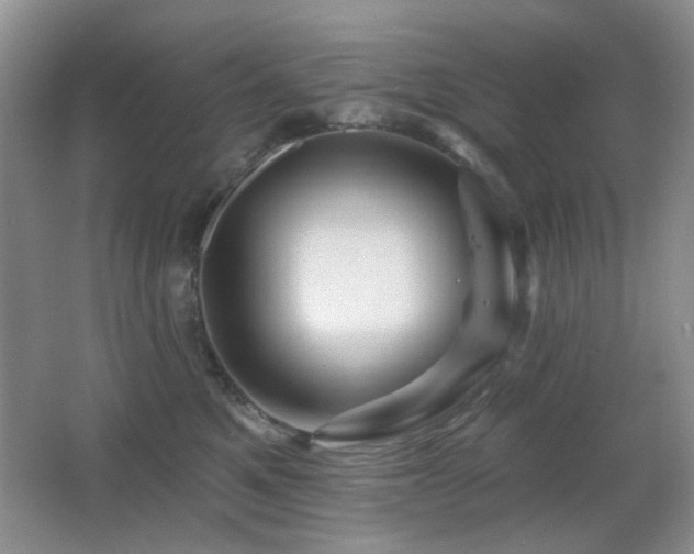X0000066010521200603031226