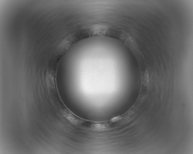 X0000066010522200603031226