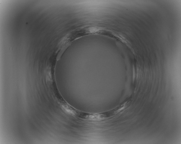 X0000066010524200603031226