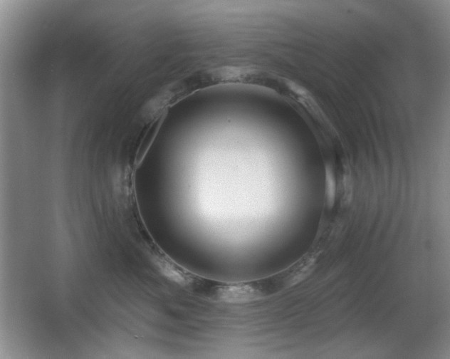 X0000066010525200603031226
