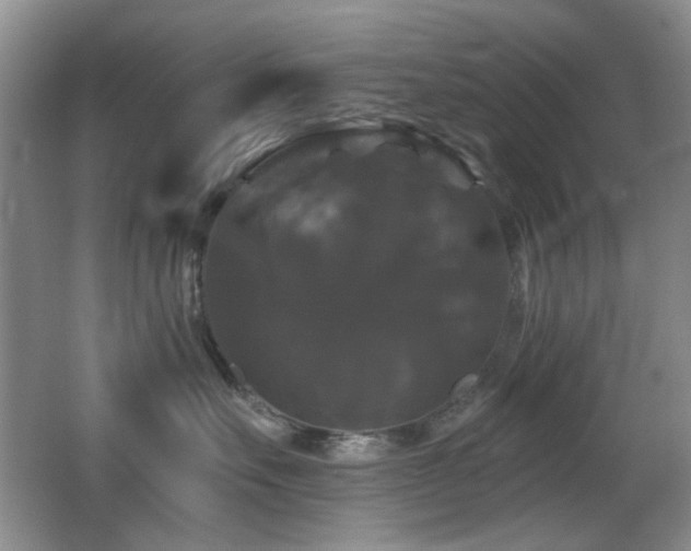 X0000066010527200603031226