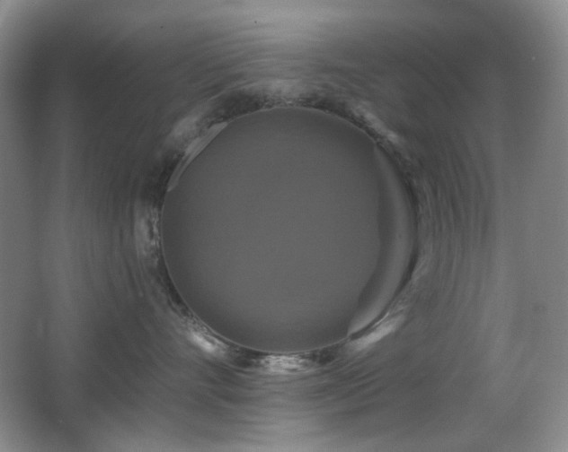 X0000066010528200603031226