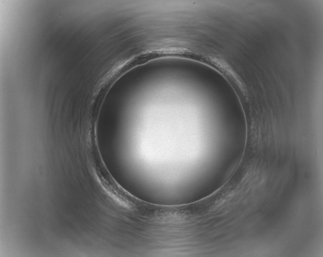 X0000066010533200603031225
