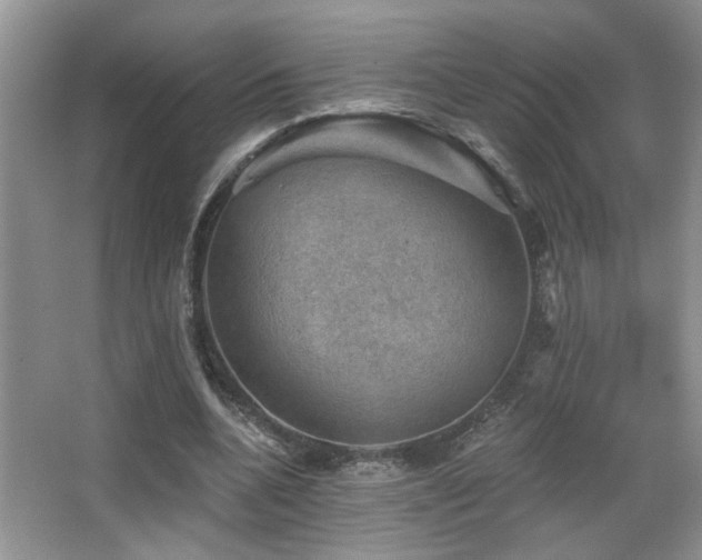 X0000066010536200603031225