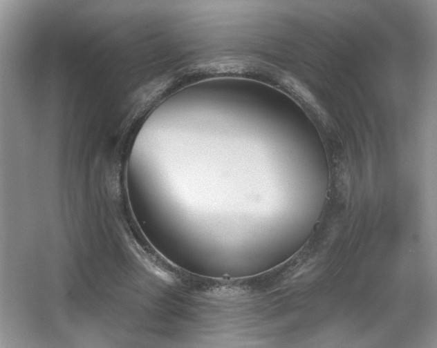X0000066010537200603031225