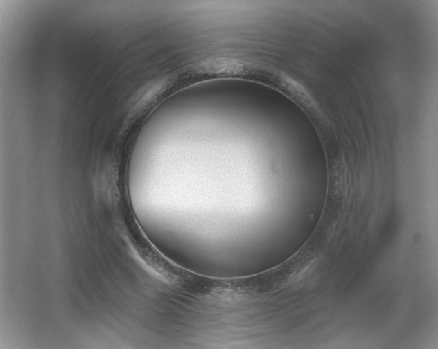 X0000066010538200603031225