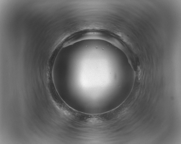 X0000066010544200603031226