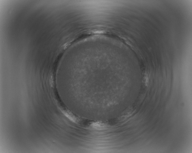 X0000066010568200603031226