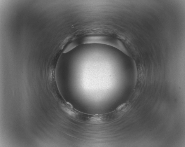 X0000066010574200603031226