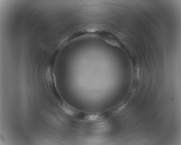 X0000066010575200603031226