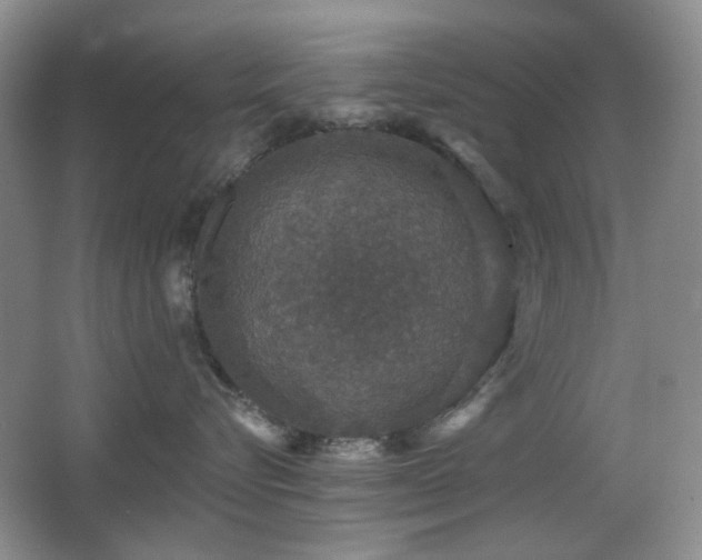 X0000066010576200603031226