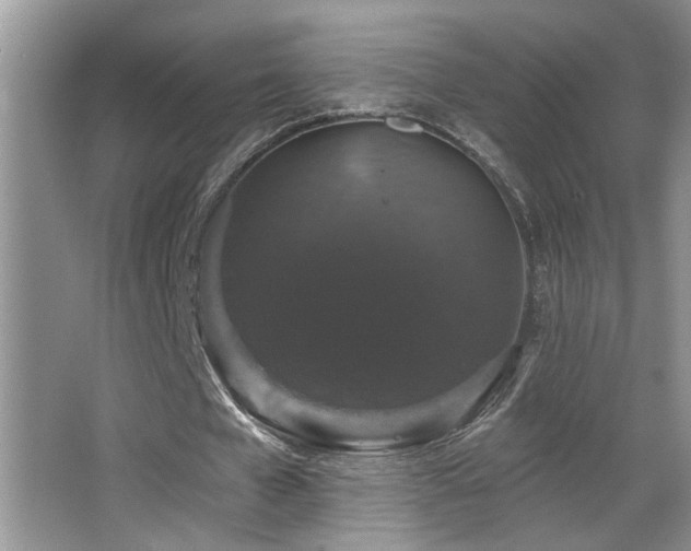 X0000066010577200603031225