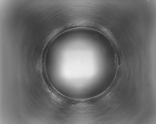 X0000066010578200603031225