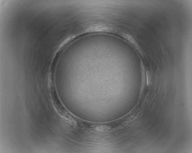 X0000066010579200603031225