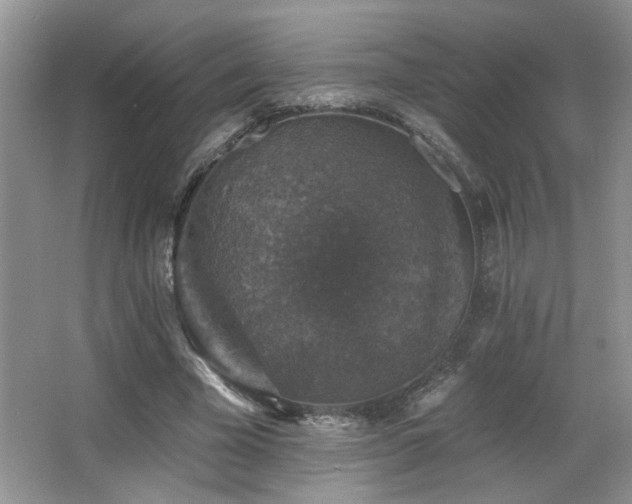 X0000066010585200603031225
