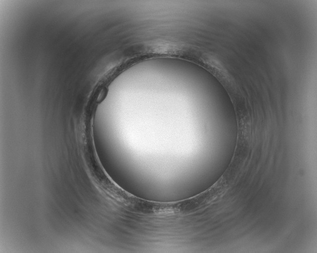 X0000066010587200603031225