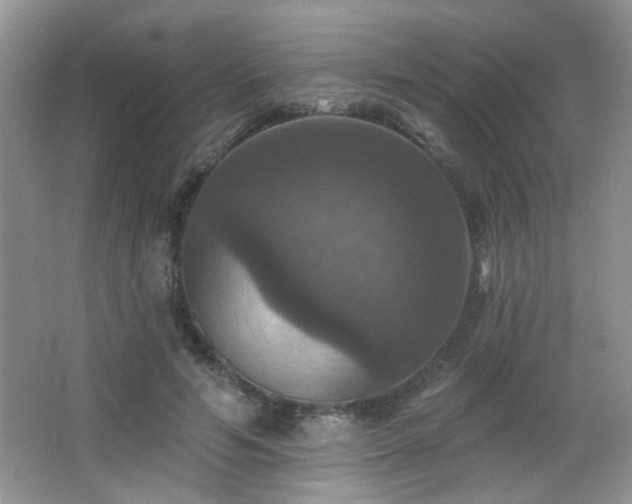 X0000066010594200603031225