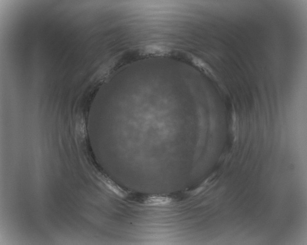 X0000066010617200603031225