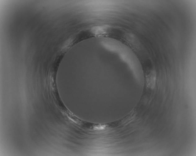 X0000066010618200603031225