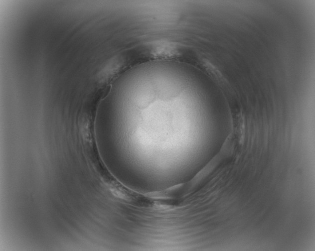 X0000066010619200603031225