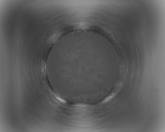 X0000066010624200603031224