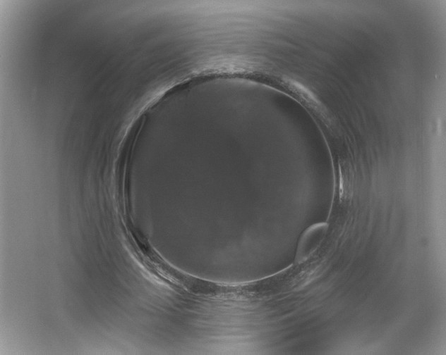 X0000066010627200603031224