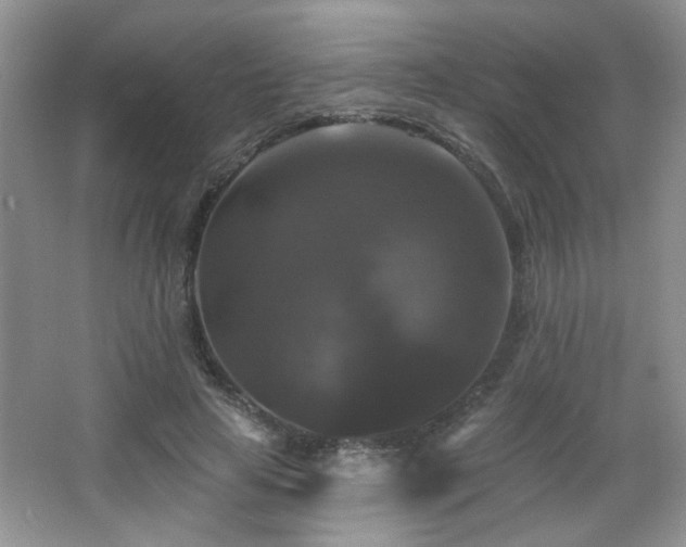 X0000066010641200603031224
