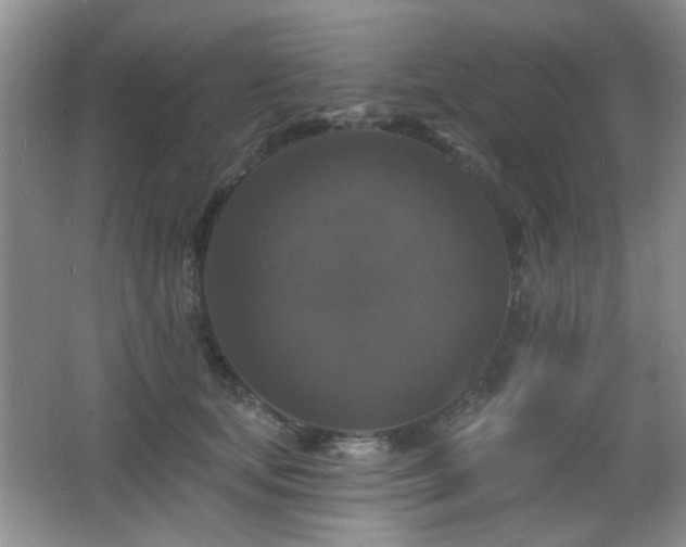 X0000066010659200603031224