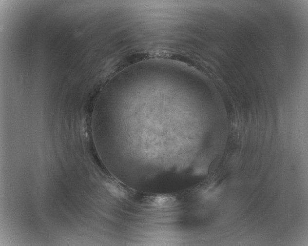 X0000066010663200603031224
