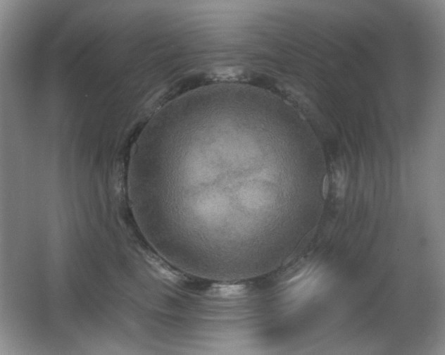 X0000066010665200603031224