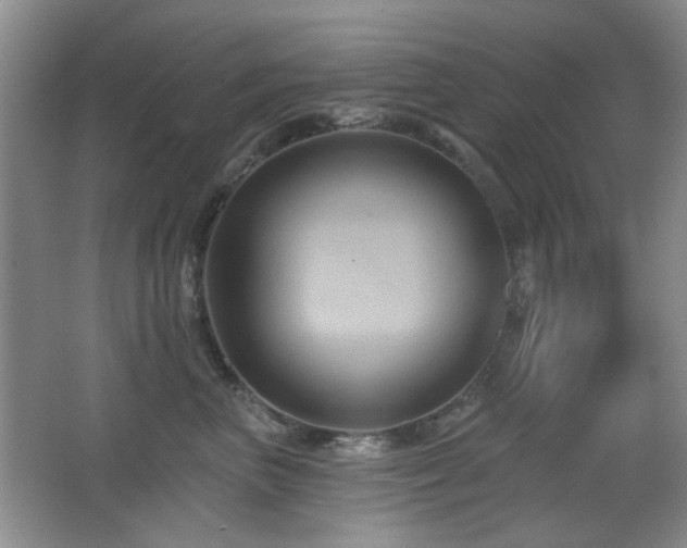 X0000066010667200603031224