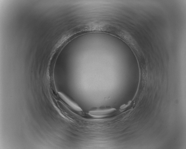 X0000066010674200603031224
