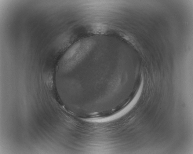 X0000066010697200603031223